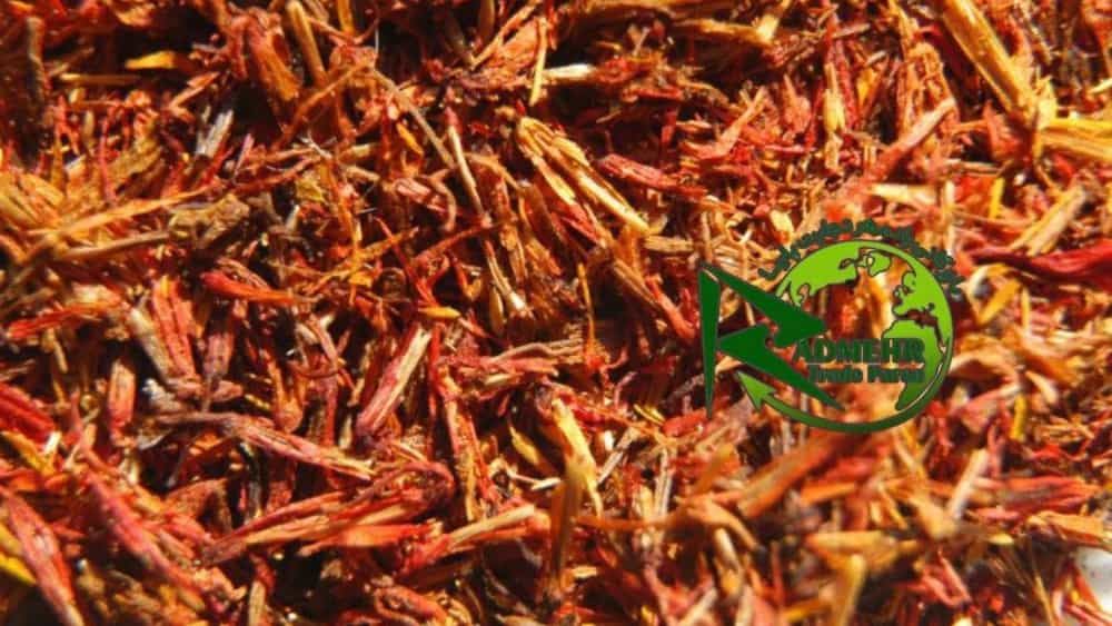 قیمت ریشه زعفران