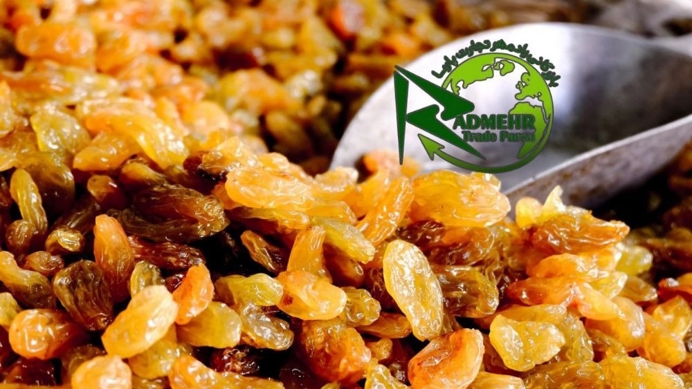 صادرات کشمش انگوری درجه یک صادرات کشمش انگوری درجه یک